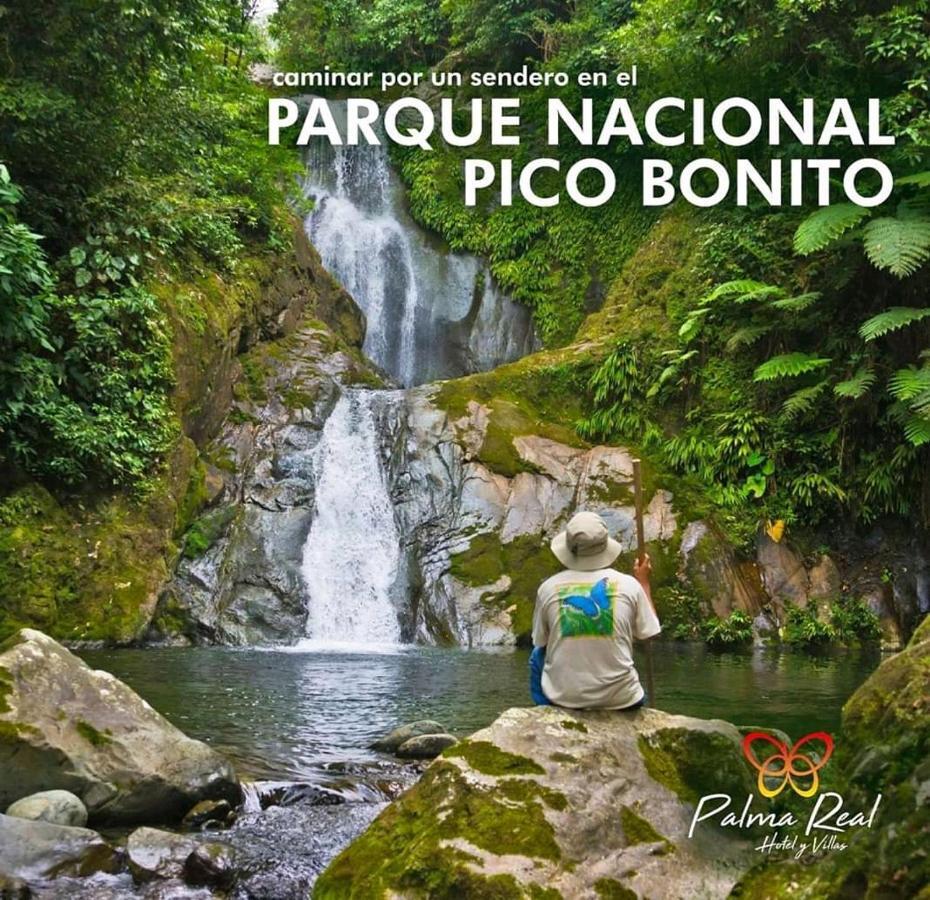 Paradise Villa In Palma Real La Ceiba Exteriör bild
